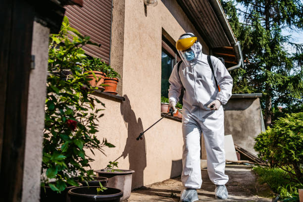 Best Affordable Pest Control Services  in Hudson Lake, IN