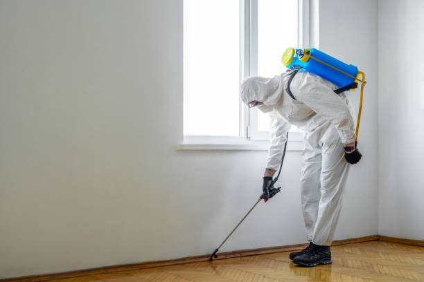 Best Best Pest Control Companies  in Hudson Lake, IN