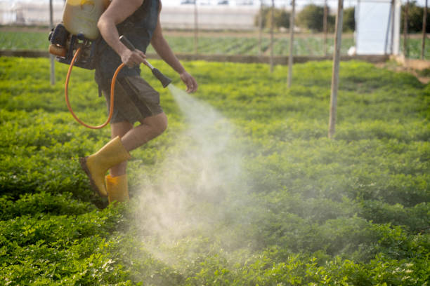 Best Local Pest Control Services  in Hudson Lake, IN