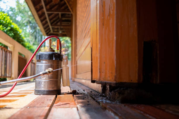 Best Ant Control Services  in Hudson Lake, IN