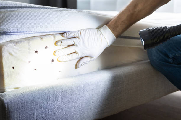 Best Affordable Pest Control Services  in Hudson Lake, IN