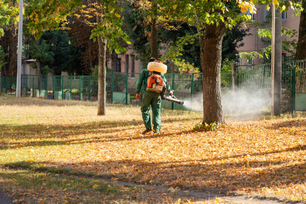 Trusted Hudson Lake, IN Pest Control Experts