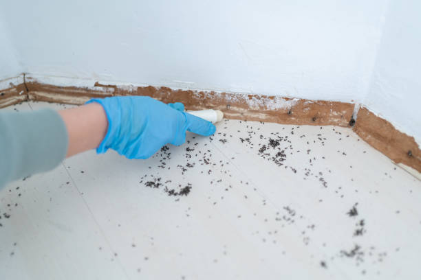 Best Mosquito Control Services  in Hudson Lake, IN