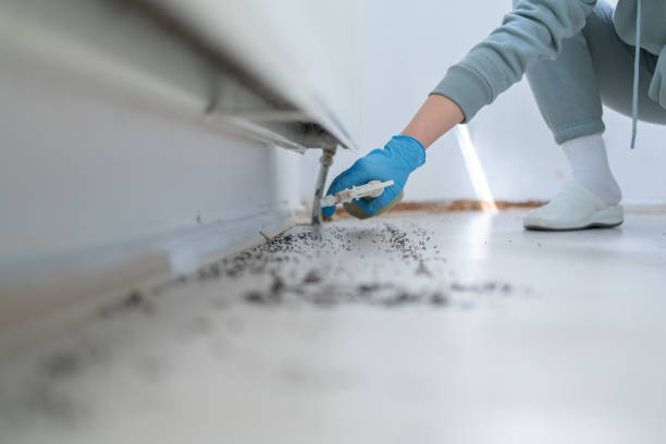 Insect Control in Hudson Lake, IN