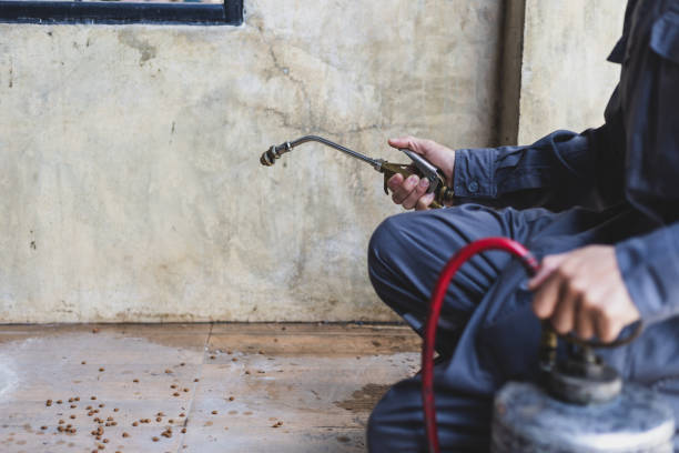 Best Wasp Removal Services  in Hudson Lake, IN